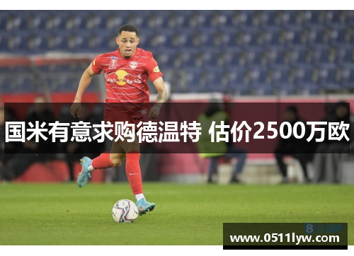 国米有意求购德温特 估价2500万欧